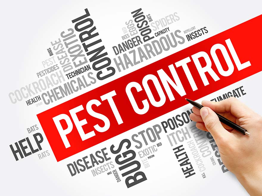 pest-control | localfind.us pest control local seo for business